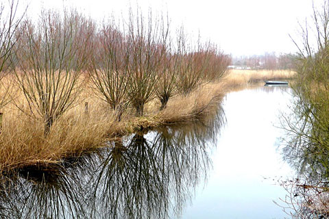 De Aalbek mit Boot