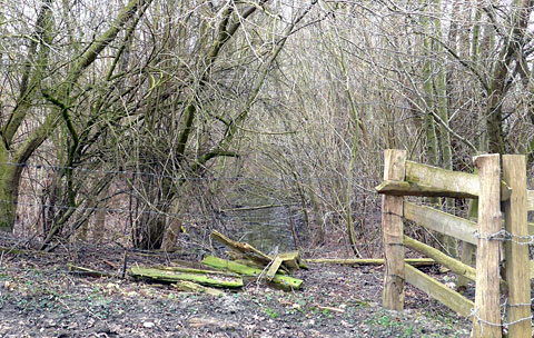 De Aalbekgraven na den See