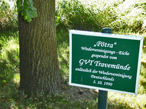 Pötra - Wiedervereinigungs-Eiche